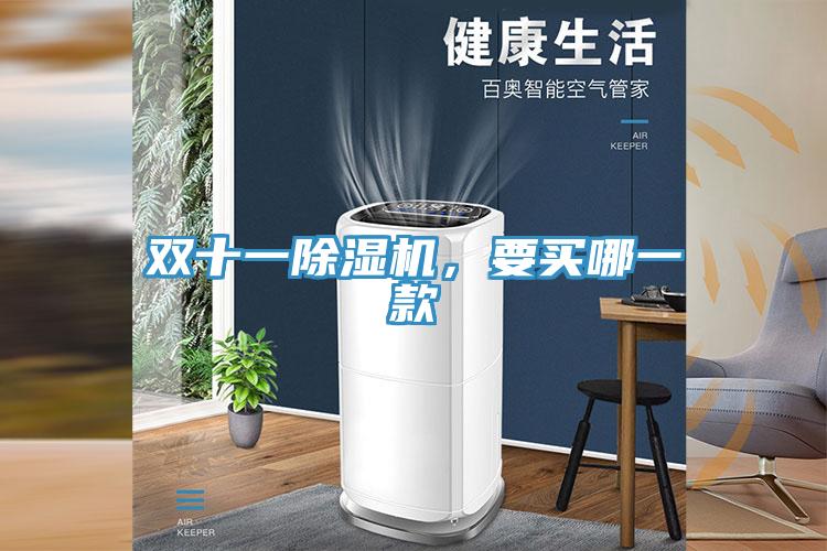 雙十一除濕機(jī)，要買哪一款