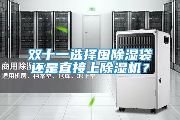 雙十一選擇囤除濕袋還是直接上除濕機(jī)？