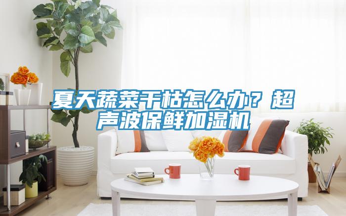 夏天蔬菜干枯怎么辦？超聲波保鮮加濕機(jī)