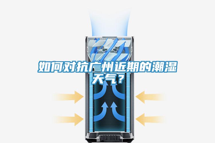 如何對(duì)抗廣州近期的潮濕天氣？