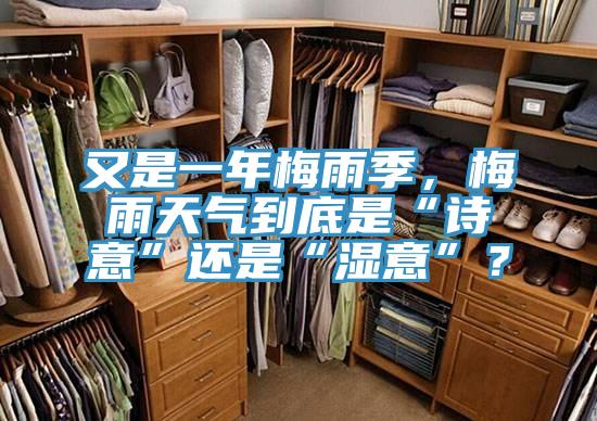 又是一年梅雨季，梅雨天氣到底是“詩(shī)意”還是“濕意”？