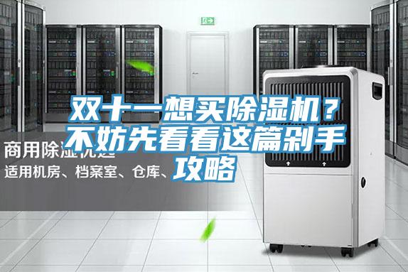雙十一想買(mǎi)除濕機(jī)？不妨先看看這篇剁手攻略
