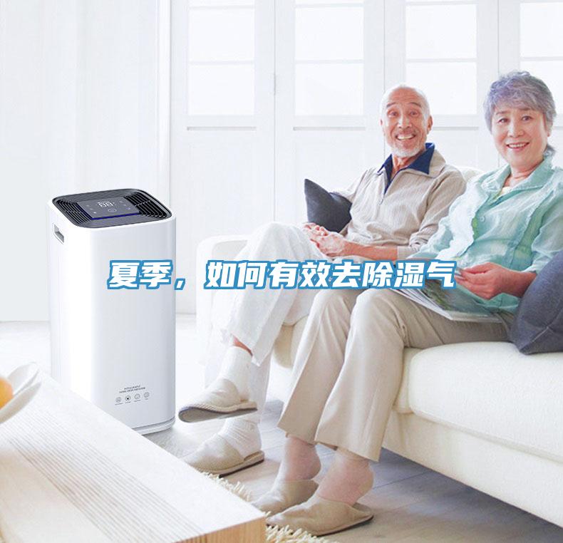 夏季，如何有效去除濕氣