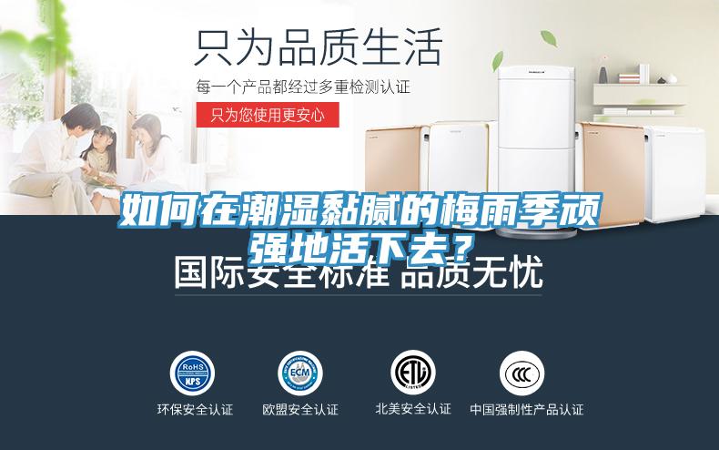 如何在潮濕黏膩的梅雨季頑強(qiáng)地活下去？