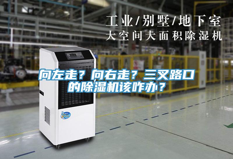 向左走？向右走？三叉路口的除濕機(jī)該咋辦？
