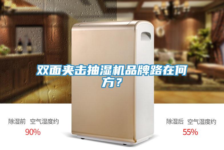 雙面夾擊抽濕機(jī)品牌路在何方？