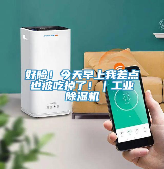 好險！今天早上我差點(diǎn)也被吃掉了?。I(yè)除濕機(jī)