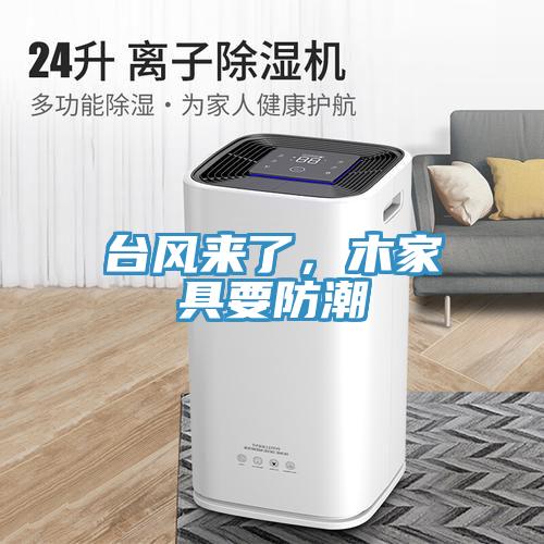 臺(tái)風(fēng)來(lái)了，木家具要防潮