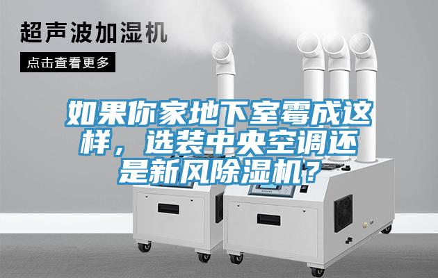 如果你家地下室霉成這樣，選裝中央空調(diào)還是新風(fēng)除濕機(jī)？
