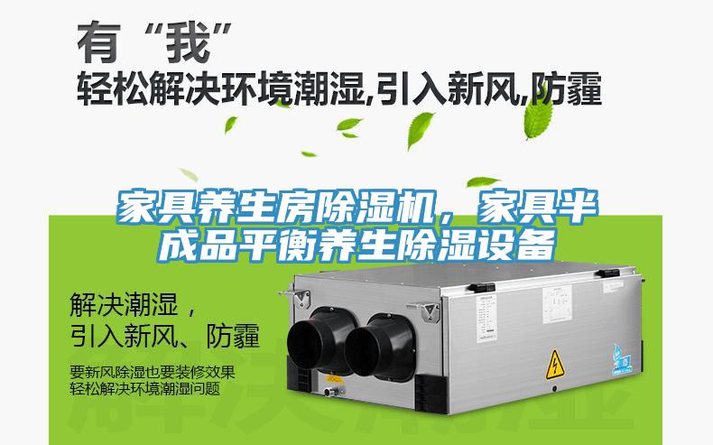 家具養(yǎng)生房除濕機，家具半成品平衡養(yǎng)生除濕設(shè)備