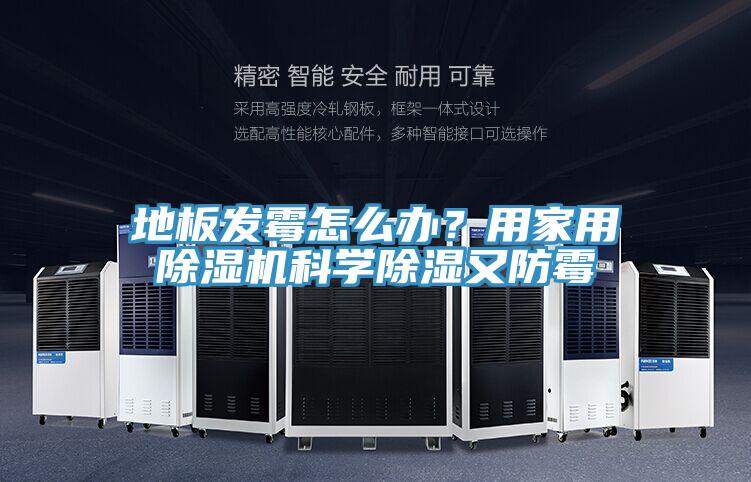 地板發(fā)霉怎么辦？用家用除濕機科學除濕又防霉