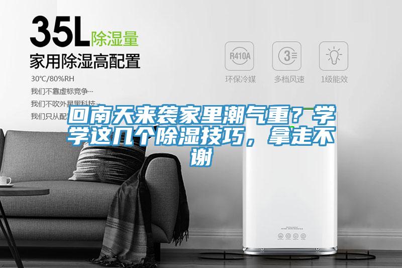 回南天來襲家里潮氣重？學學這幾個除濕技巧，拿走不謝