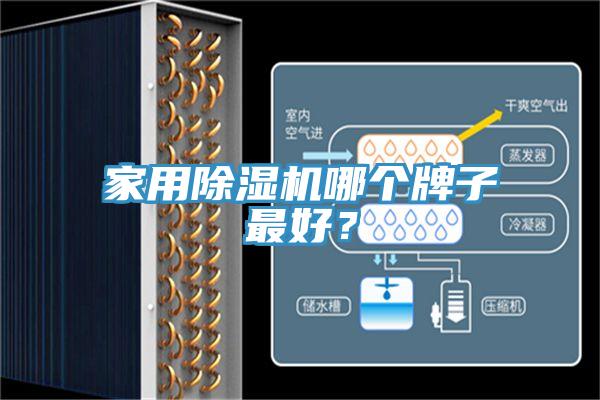 家用除濕機(jī)哪個牌子最好？