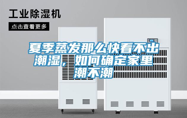 夏季蒸發(fā)那么快看不出潮濕，如何確定家里潮不潮
