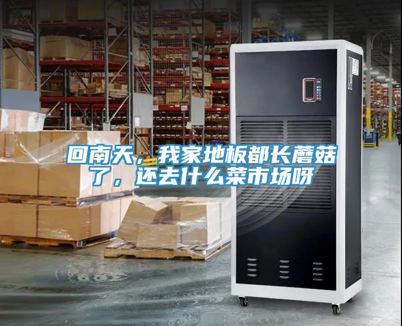 回南天，我家地板都長蘑菇了，還去什么菜市場呀