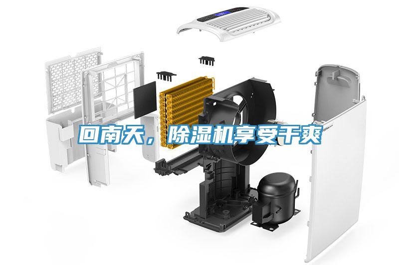 回南天，除濕機享受干爽