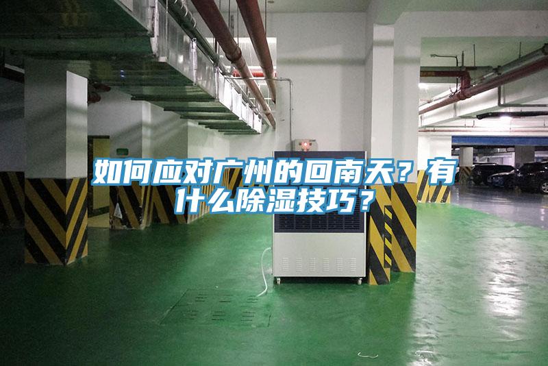 如何應(yīng)對(duì)廣州的回南天？有什么除濕技巧？