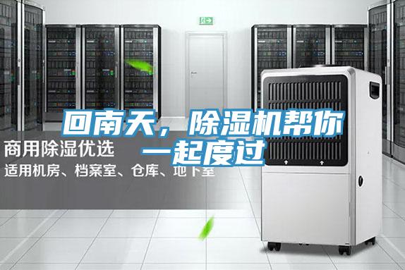 回南天，除濕機幫你一起度過