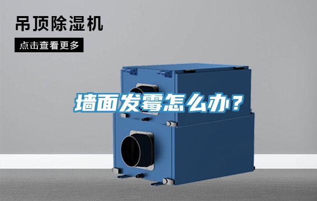 墻面發(fā)霉怎么辦？