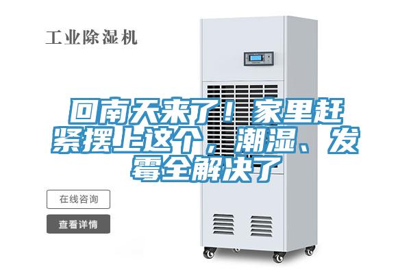 回南天來(lái)了！家里趕緊擺上這個(gè)，潮濕、發(fā)霉全解決了