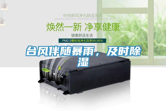 臺(tái)風(fēng)伴隨暴雨，及時(shí)除濕