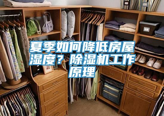 夏季如何降低房屋濕度？除濕機(jī)工作原理