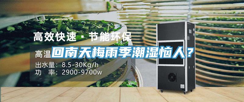 回南天梅雨季潮濕惱人？