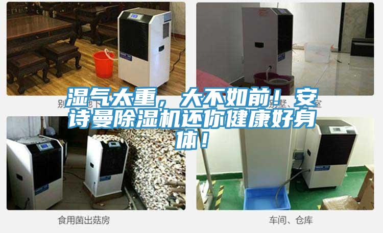 濕氣太重，大不如前！安詩曼除濕機(jī)還你健康好身體！