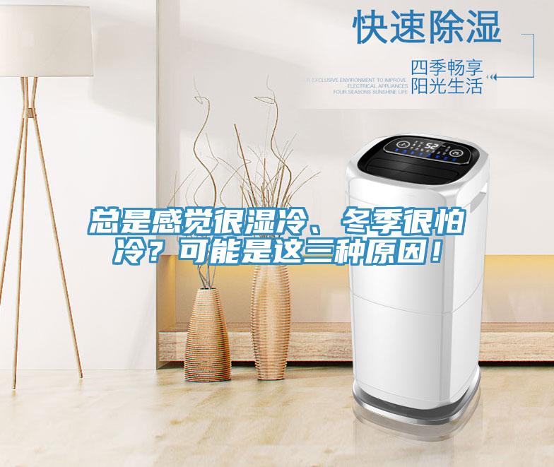 總是感覺很濕冷、冬季很怕冷？可能是這三種原因！