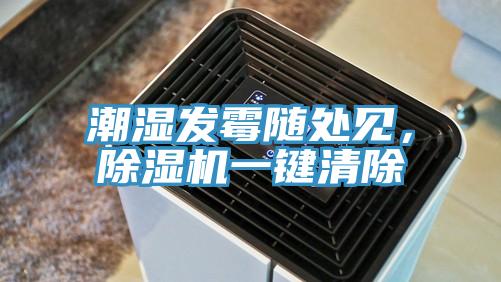 潮濕發(fā)霉隨處見，除濕機一鍵清除