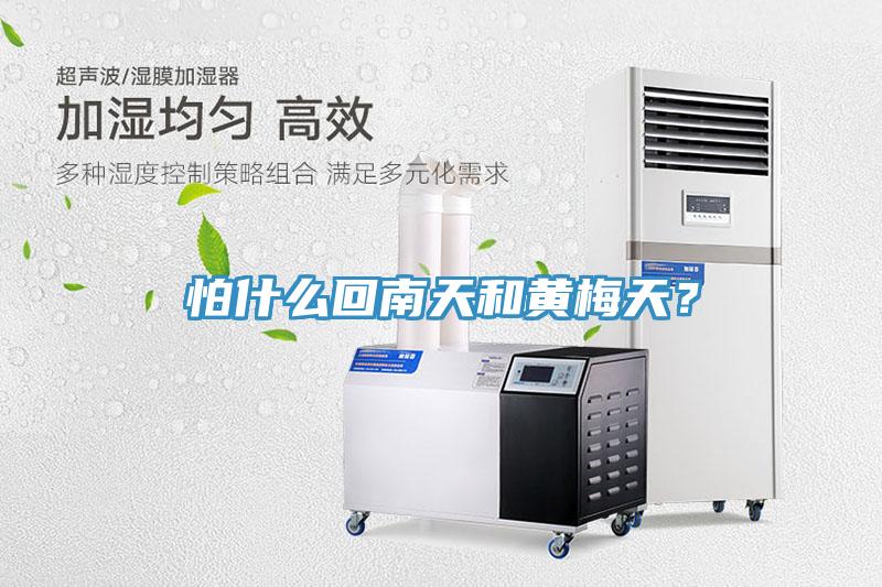 怕什么回南天和黃梅天？