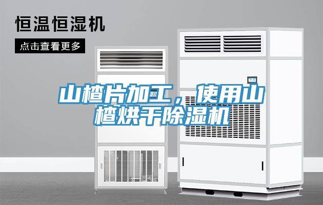 山楂片加工，使用山楂烘干除濕機