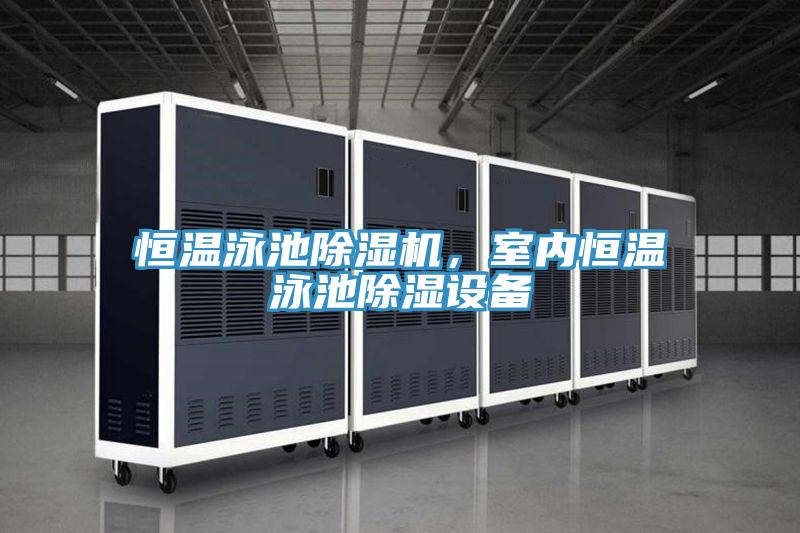 恒溫泳池除濕機，室內(nèi)恒溫泳池除濕設(shè)備