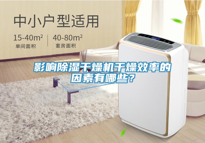 影響除濕干燥機(jī)干燥效率的因素有哪些？