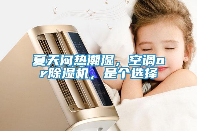 夏天悶熱潮濕，空調(diào)or除濕機，是個選擇