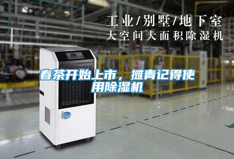 春茶開始上市，攤青記得使用除濕機