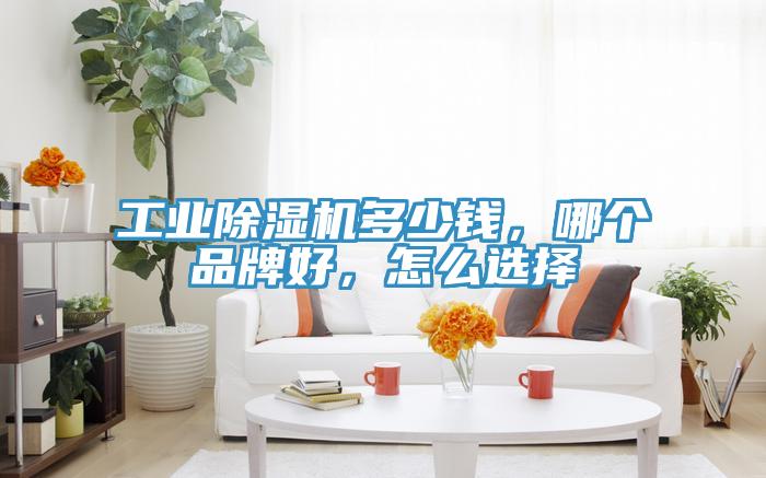 工業(yè)除濕機(jī)多少錢，哪個(gè)品牌好，怎么選擇