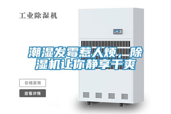 潮濕發(fā)霉惹人煩，除濕機讓你靜享干爽