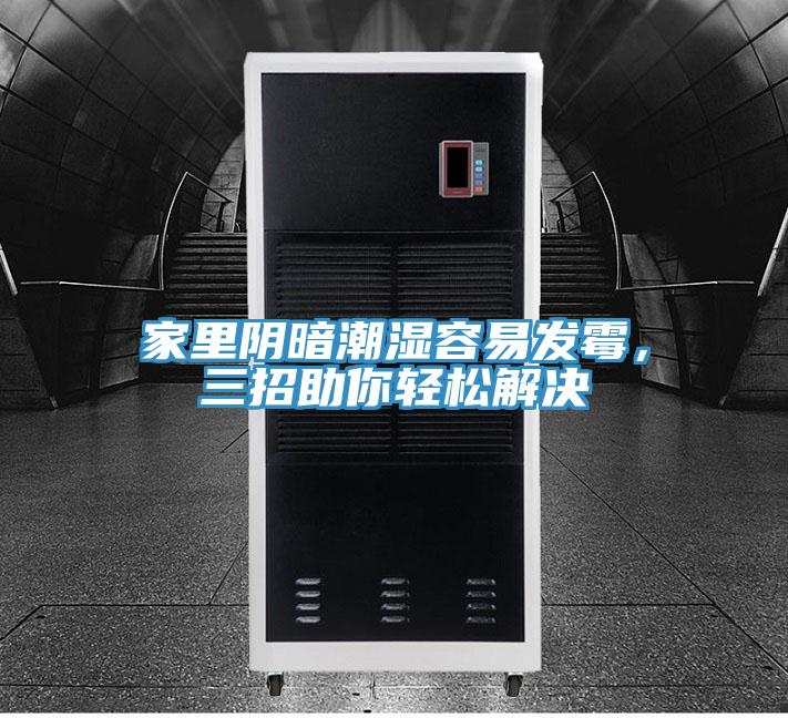 家里陰暗潮濕容易發(fā)霉，三招助你輕松解決