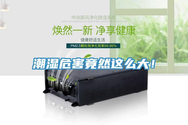 潮濕危害竟然這么大！