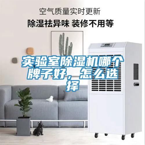 實(shí)驗(yàn)室除濕機(jī)哪個(gè)牌子好，怎么選擇