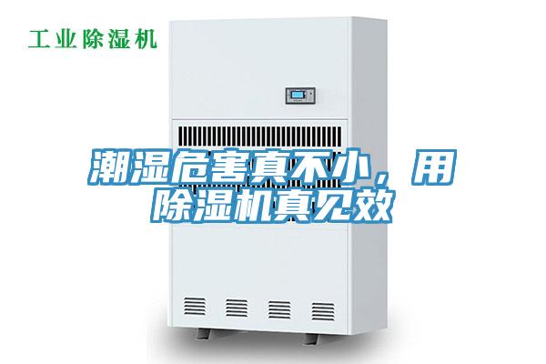 潮濕危害真不小，用除濕機真見效