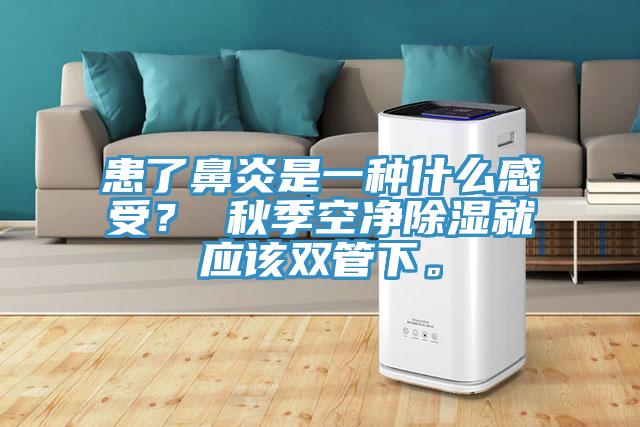 患了鼻炎是一種什么感受？ 秋季空凈除濕就應(yīng)該雙管下。