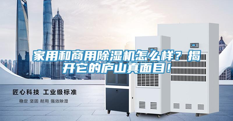 家用和商用除濕機怎么樣？揭開它的廬山真面目！