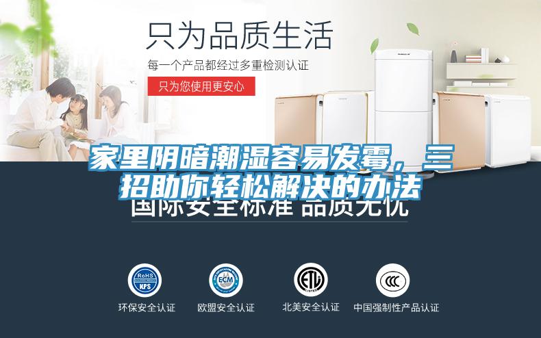 家里陰暗潮濕容易發(fā)霉，三招助你輕松解決的辦法