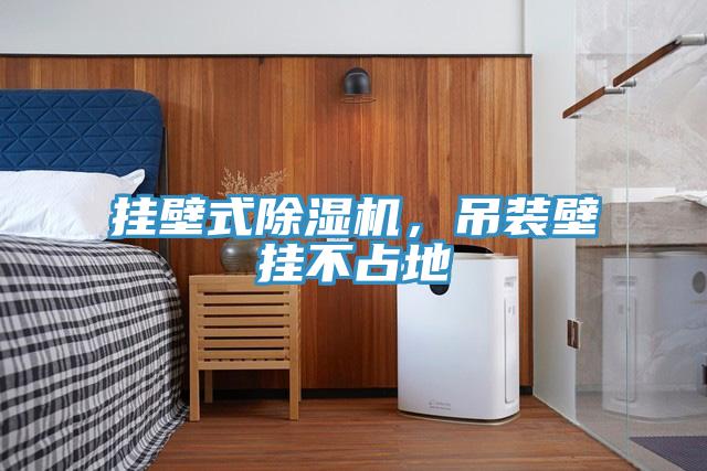 掛壁式除濕機(jī)，吊裝壁掛不占地