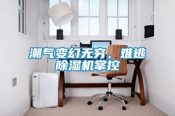 潮氣變幻無窮，難逃除濕機(jī)掌控