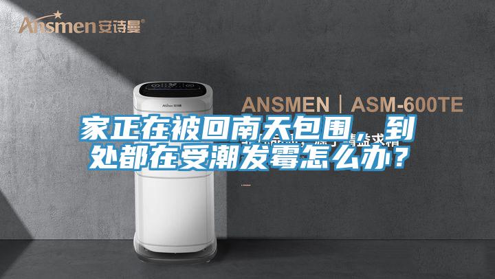 家正在被回南天包圍，到處都在受潮發(fā)霉怎么辦？