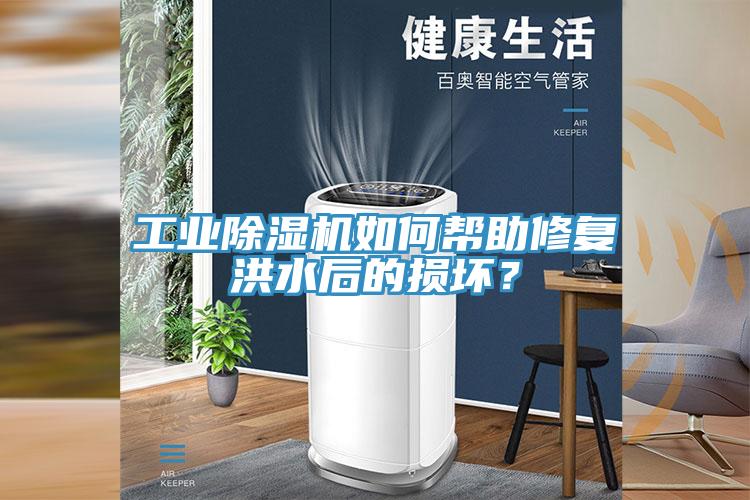 工業(yè)除濕機如何幫助修復(fù)洪水后的損壞？