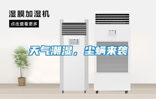 天氣潮濕，塵螨來襲